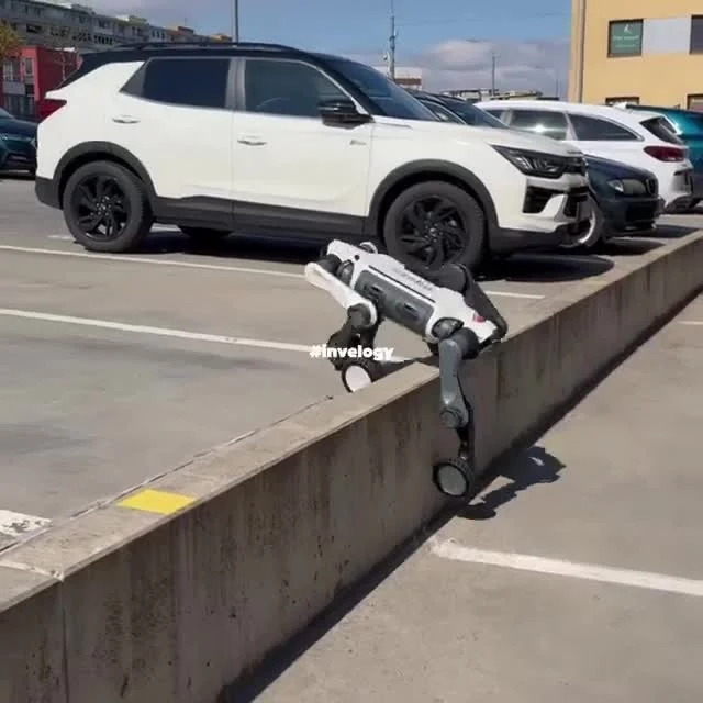 DEEP Robotics M20 during a real-world mobility test. The footage shows the actual robot, not an AI-generated animation.