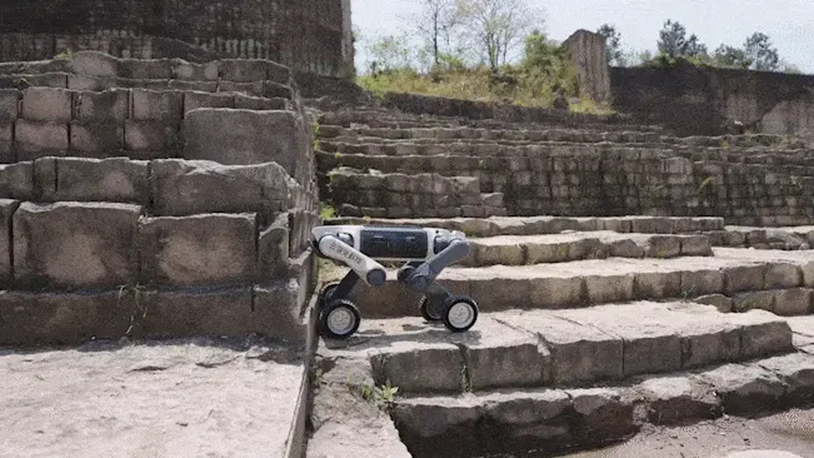 Robot dogs: what they are, how they work and why they are changing security